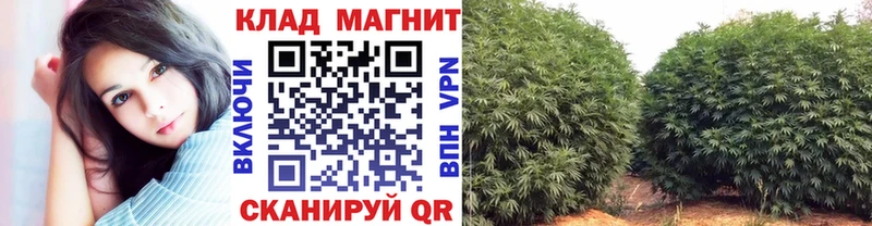 Купить наркотики Череповец Гашиш  СОЛЬ  Галлюциногенные грибы  Канабис  КОКАИН  Мефедрон 