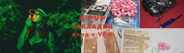 соль ск Кукмор
