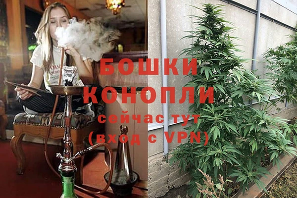 соль ск Кукмор
