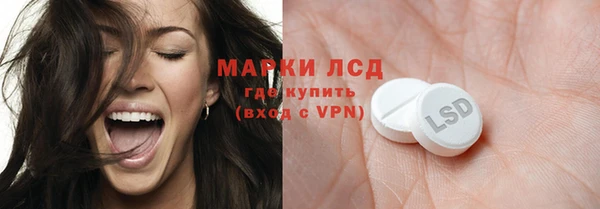 соль ск Кукмор