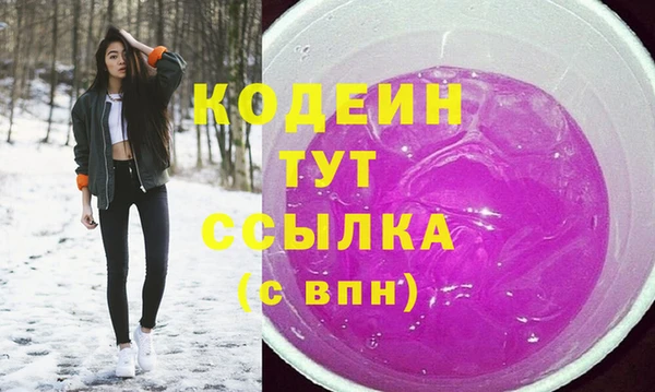 соль ск Кукмор