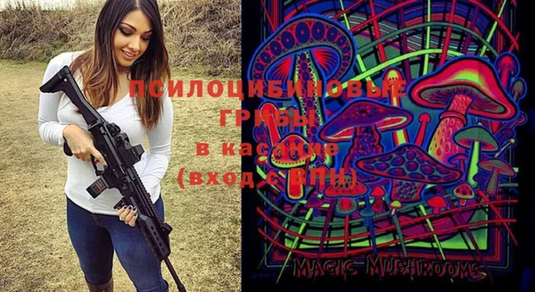 соль ск Кукмор