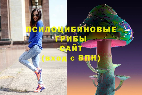 шишки Кулебаки