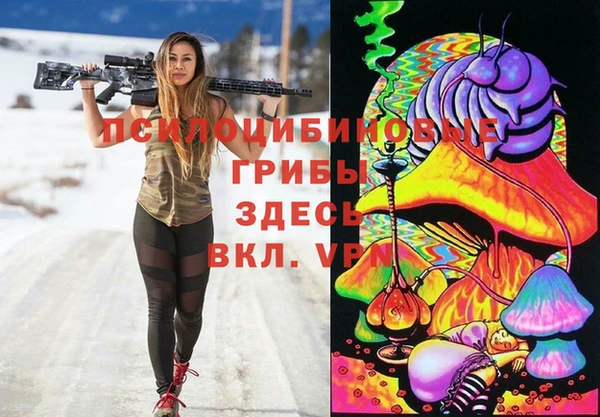 шишки Бугульма