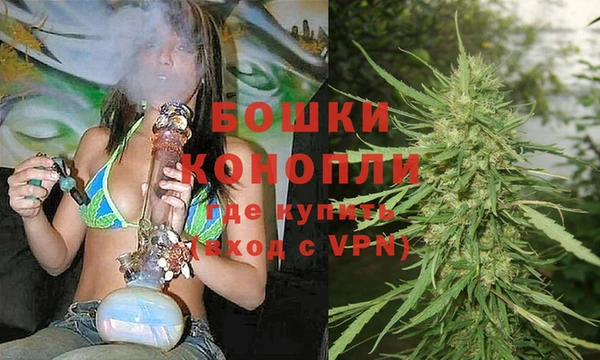 соль ск Кукмор
