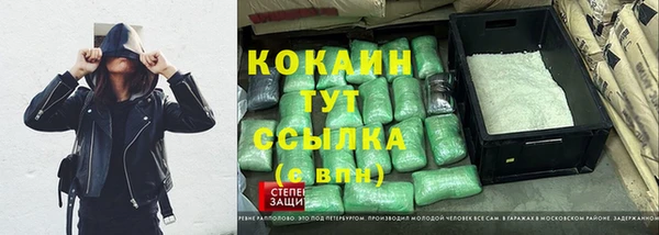 шишки Куйбышев