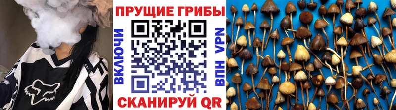 Псилоцибиновые грибы ЛСД  MEGA зеркало  Череповец 
