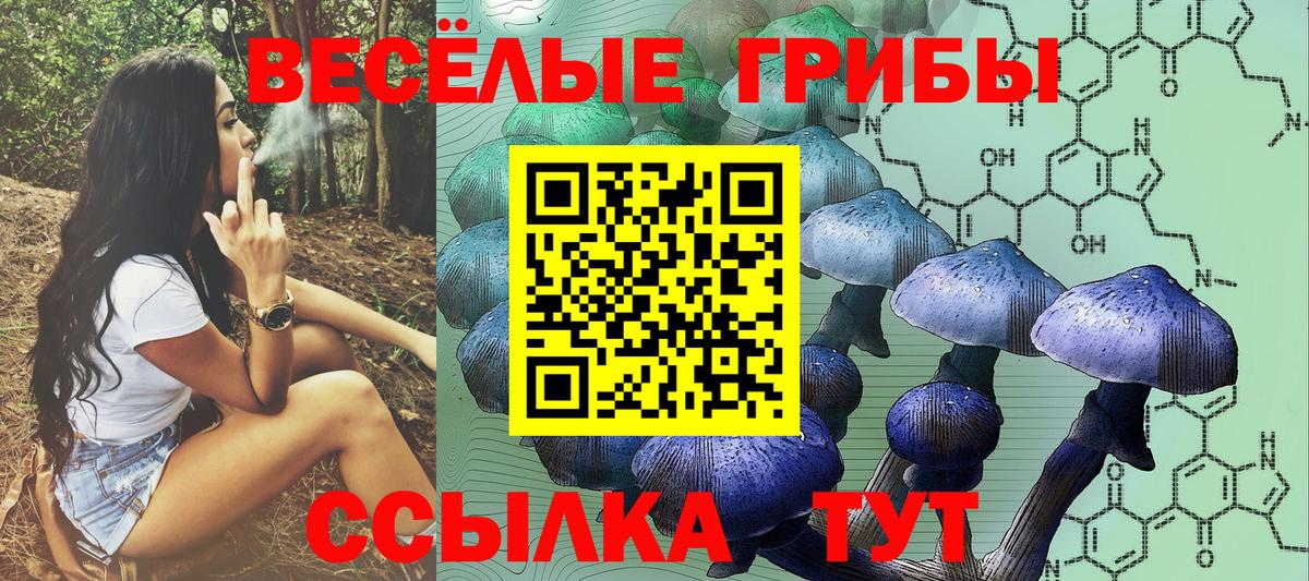 Череповец  Галлюциногенные грибы Magic Shrooms  Галлюциногенные грибы ЛСД  Вход с VPN 