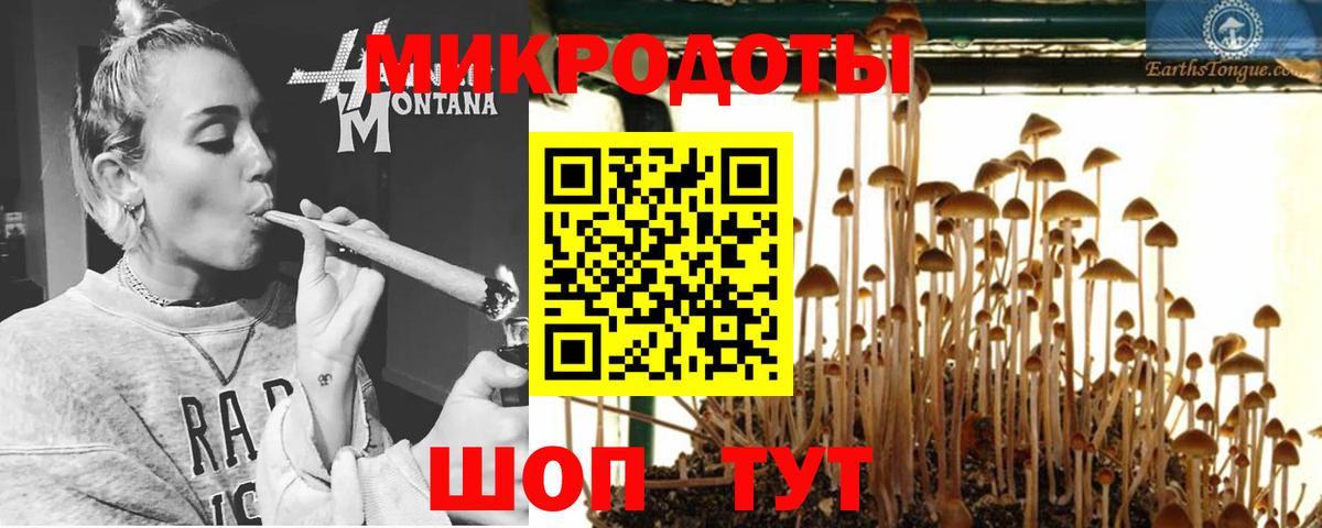 Псилоцибиновые грибы ЛСД Череповец